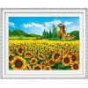 [보석 십자수]B1029-Sunflowers in a Dream