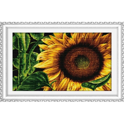DOME 프린트패키지 (100802)Sunflower