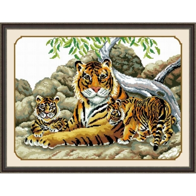 DOME 프린트패키지 (31005)_oriental tiger
