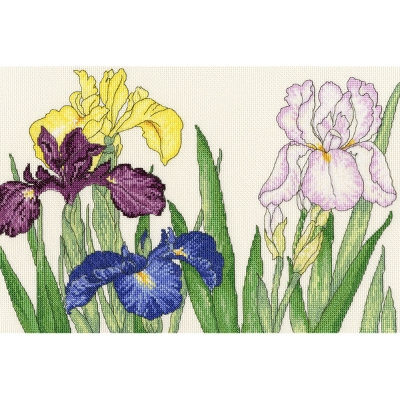 [영국 십자수패키지]XBD14-Iris Blooms