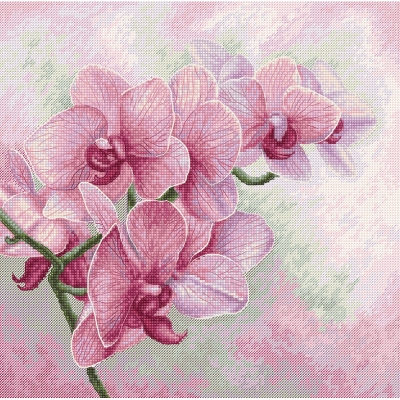 외국 십자수패키지 Luca-s/ Graceful Orchids-B7009