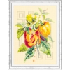 Magic Needle Kit/Pepper-100-211