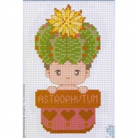 키트입니다 CACTUS-ASTROPHYTUM/J-...