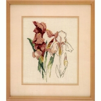 Iris II-BEverly Sills-ga590...