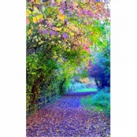 보석 -숲속의고요-PT2637-3D-45*55cm -Y