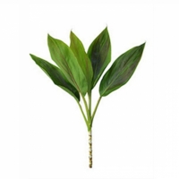 보석십자수 보태니컬B(BT0257-01)-Y