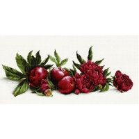 루카스 실십자수 패키지 Peonies and Re...