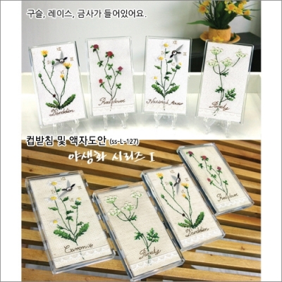 야생화 시리즈-1 [상록수] ^