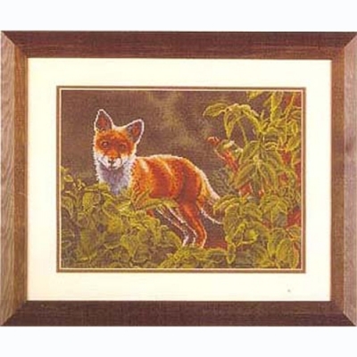 fox on alert-(ad-228)^