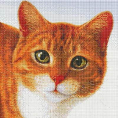 보석-귀여운갈색고양이-3D전체-45*44cm-D0082