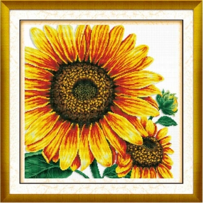 DOME 프린트패키지 (50308)Sunflower