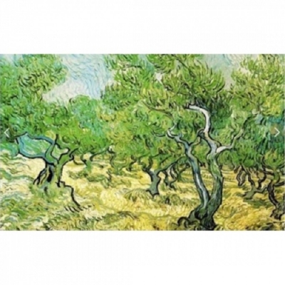 보석-올리브과수원-PT2648 -3D-45*55cm -Y