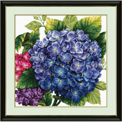 DOME 프린트패키지 (80602)-Hydrangea