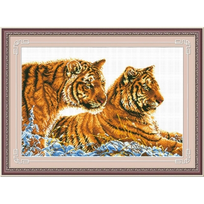 DOME 프린트패키지(130004) Two tigers