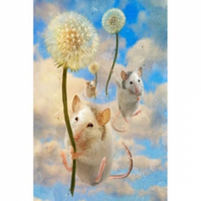 보석-플라잉마우스-3D전체-40*60cm-LIEX010207