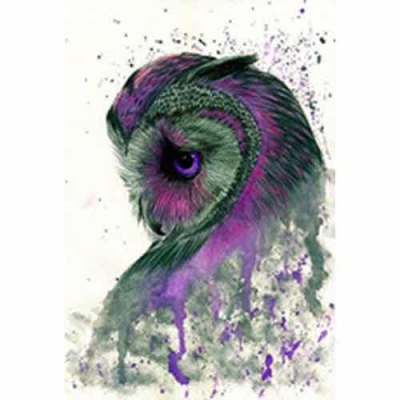 올빼미의카리스마(PL4093-01)-Y