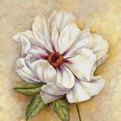 CH3D-M002 백작약32x32cm