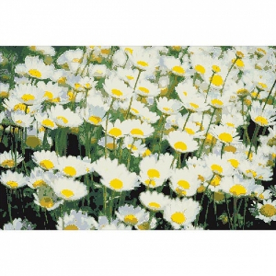 보석십자수 야생데이지(3D)-ydb0239