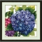 DOME 프린트패키지 (80602)-Hydrangea