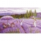 루카스 실십자수 패키지 Gold Collection Lavender field,BU5008